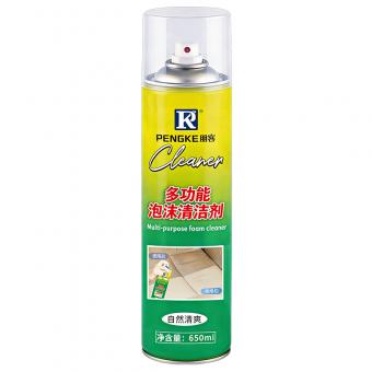 Multi-purpose foam cleaner